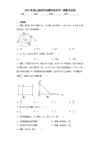 2022年浙江省绍兴市嵊州市中考一模数学试卷(含答案)