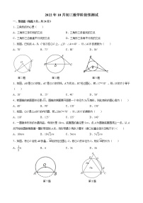 苏州中学园区校初三数学2022-2023学年10月月考试卷（含答案）