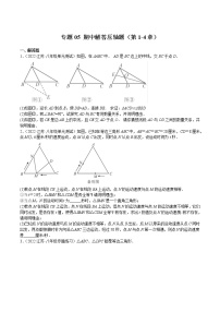 2022-2023学年八年级数学上学期期中分类复习专题05 期中解答压轴题（含答案解析）