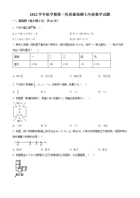 山东省枣庄市峄城区山东枣庄东方国际学校2022-2023学年七年级上学期第一次月考数学试题(含答案)