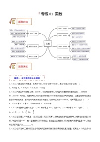 2023年中考数学一轮复习题型归纳专练01 实数