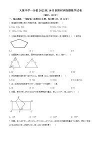 湖北省咸宁市崇阳县大集中学一分校2022-2023学年八年级上学期10月限时训练数学试题(含答案)