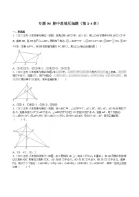 2022-2023学年八年级数学上学期期中分类复习专题04 期中选填压轴题