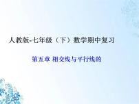 人教版七年级下册数学期中复习第五到七章复习课件