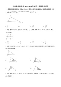 山东省聊城市阳谷县实验中学2022-2023学年九年级上学期第一次月考数学试题(含答案)