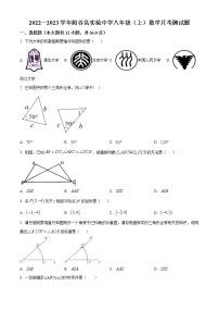 山东省聊城市阳谷县实验中学2022-2023学年八年级上学期第一次月考数学试题(含答案)