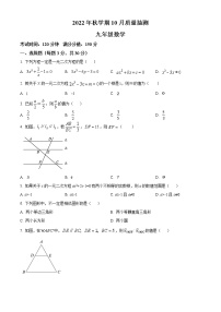 江苏省无锡市宜兴市桃溪中学2022-2023学年九年级上学期10月月考数学试题(含答案)