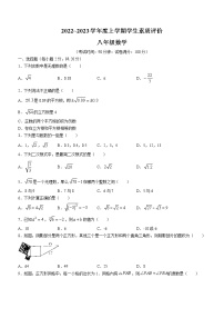 辽宁省辽阳市灯塔市实验中学2022-2023学年八年级上学期10月月考数学试题(含答案)