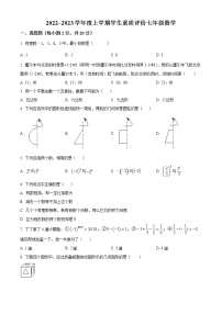 辽宁省辽阳市灯塔市实验中学2022-2023学年七年级上学期10月月考数学试题(含答案)