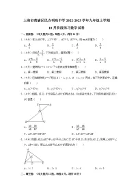 上海市黄浦区民办明珠中学2022-2023学年九年级上学期10月阶段练习数学试卷(含答案)