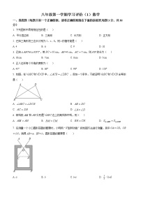 河南省周口市鹿邑县2022-2023学年八年级上学期学习评价一数学试题(含答案)