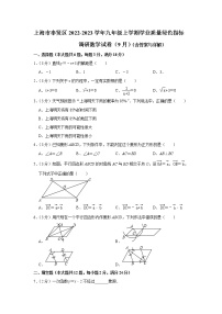 上海市奉贤区2022-2023学年九年级上学期学业质量绿色指标调研数学练习(含答案)