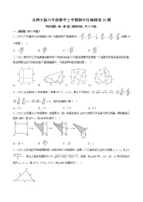 北师大版八年级数学上学期期中压轴精选30题-八年级数学上学期期中期末考点大串讲（北师大版）