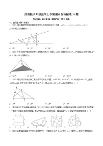 苏科版八年级数学上学期期中压轴精选30题-2022-2023学年八年级数学上学期期中期末考点大串讲（苏科版）