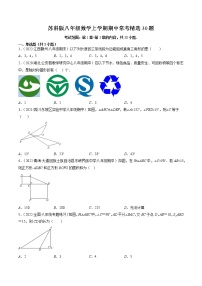 苏科版八年级数学上学期期中常考精选30题-2022-2023学年八年级数学上学期期中期末考点大串讲（苏科版）