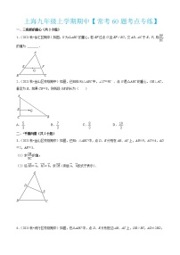 上海九年级上学期期中【常考60题考点专练】-2022-2023学年九年级数学上学期期中期末考点大串讲（沪教版）