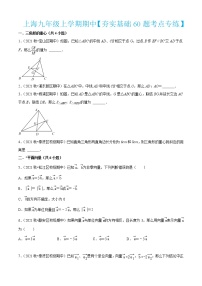 上海九年级上学期期中【夯实基础60题考点专练】-2022-2023学年九年级数学上学期期中期末考点大串讲（沪教版）