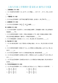 上海九年级上学期期中【易错43题考点专练】-2022-2023学年九年级数学上学期期中期末考点大串讲（沪教版）