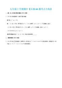 九年级上学期期中【压轴60题考点专练】-2022-2023学年九年级数学上学期期中期末考点大串讲（人教版）