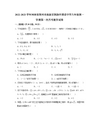 河南省郑州市高新区枫杨外国语中学2022-2023学年八年级上学期第一次月考数学试卷（含答案）