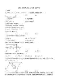 辽宁省沈阳市第一三四中学2022-2023学年八年级上学期10月月考数学试题（含答案）