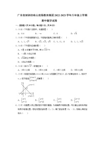 广东省深圳市南山实验教育集团2022-2023学年八年级上学期期中数学试卷(含答案)