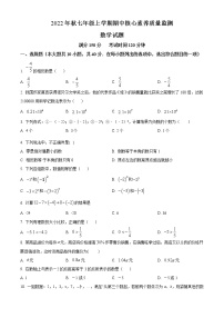 福建省永春县侨中片区学校联考2022-2023学年七年级上学期期中核心素养质量监测数学试题(含答案)