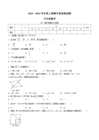 河南省驻马店市泌阳县实验中学2022-2023学年八年级上学期期中数学试题(含答案)