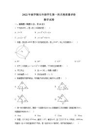 江苏省泰州市兴化市2023届九年级上学期第一次月度质量评价数学试卷(含答案)