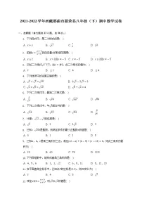 2021-2022学年西藏那曲市聂荣县八年级（下）期中数学试卷（含解析）