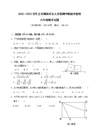 福建省漳州立人学校2022-2023学年八年级上学期期中阶段性检测数学试题(含答案)