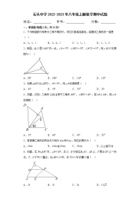 湖北省黄冈市浠水县丁司当石头中学2022-2023学年八年级上学期11月期中数学试题(含答案)