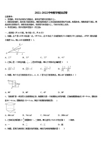 四川省锦江区七中学育才2021-2022学年中考数学模拟试题含解析