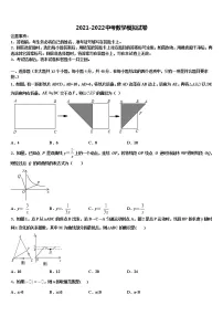 四川省阆中学中学2021-2022学年中考数学模拟预测试卷含解析