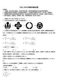 四川省乐山市名校2022年中考数学模试卷含解析