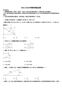 四川省乐山市实验中学2022年中考五模数学试题含解析