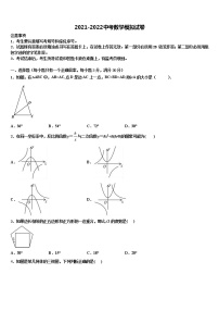 四川省乐山市实验中学2021-2022学年中考数学仿真试卷含解析