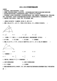 四川省凉山市喜德县2022年中考试题猜想数学试卷含解析