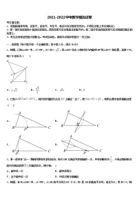 四川省凉山市喜德县达标名校2022年中考数学考试模拟冲刺卷含解析
