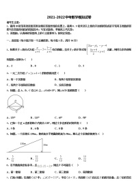 四川省泸县五中市级名校2022年中考数学全真模拟试卷含解析