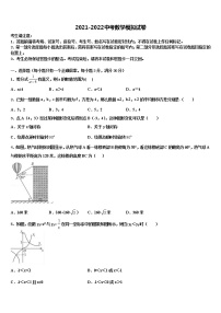 四川省眉山市名校2022年中考数学五模试卷含解析