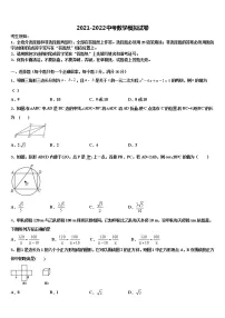 四川省资阳市雁江区临丰祥片区2021-2022学年中考数学最后冲刺模拟试卷含解析