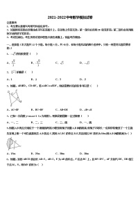 苏州市振华中学2022年中考数学最后冲刺模拟试卷含解析