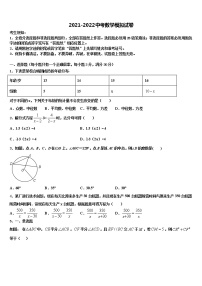 绥化市重点中学2021-2022学年中考数学最后冲刺模拟试卷含解析