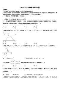 天津市滨海新区2021-2022学年中考数学考试模拟冲刺卷含解析