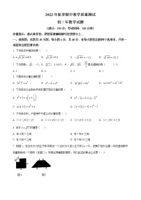 福建省南安市侨光中学2022-2023学年八年级上学期期中测试数学试卷(含答案)