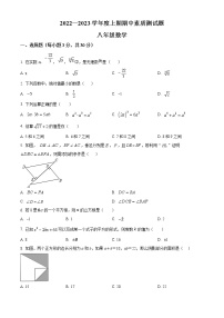 河南省驻马店市泌阳县实验中学2022-2023学年八年级上学期期中数学试题(含答案)