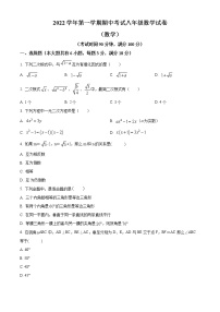 上海市闵行区莘松中学2022-2023学年八年级上学期期中考试数学试题(含答案)