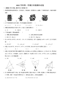 浙江省宁波市海曙区2022—2023学年上学期八年级期中数学试题 (含答案)