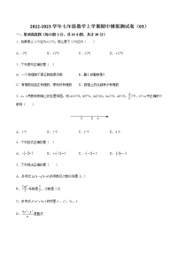 2022-2023学年七年级数学上学期期中模拟测试卷（03）